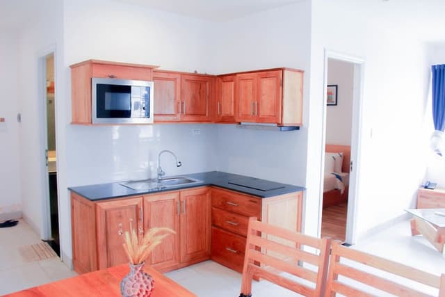 Basic Apartment