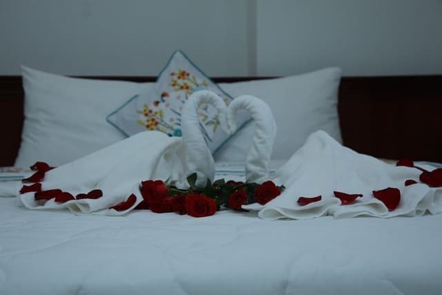 Standard Double Room, No Windows