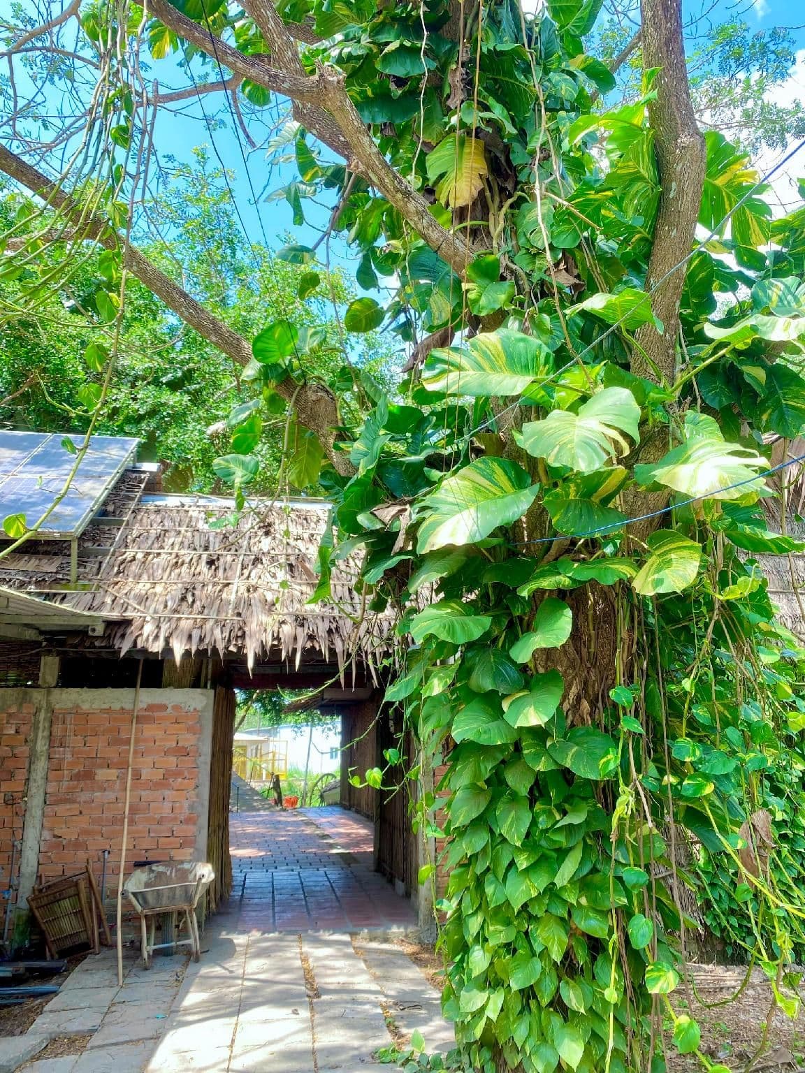 Hometravel Mekong Can Tho Hometravel Mekong Can Tho