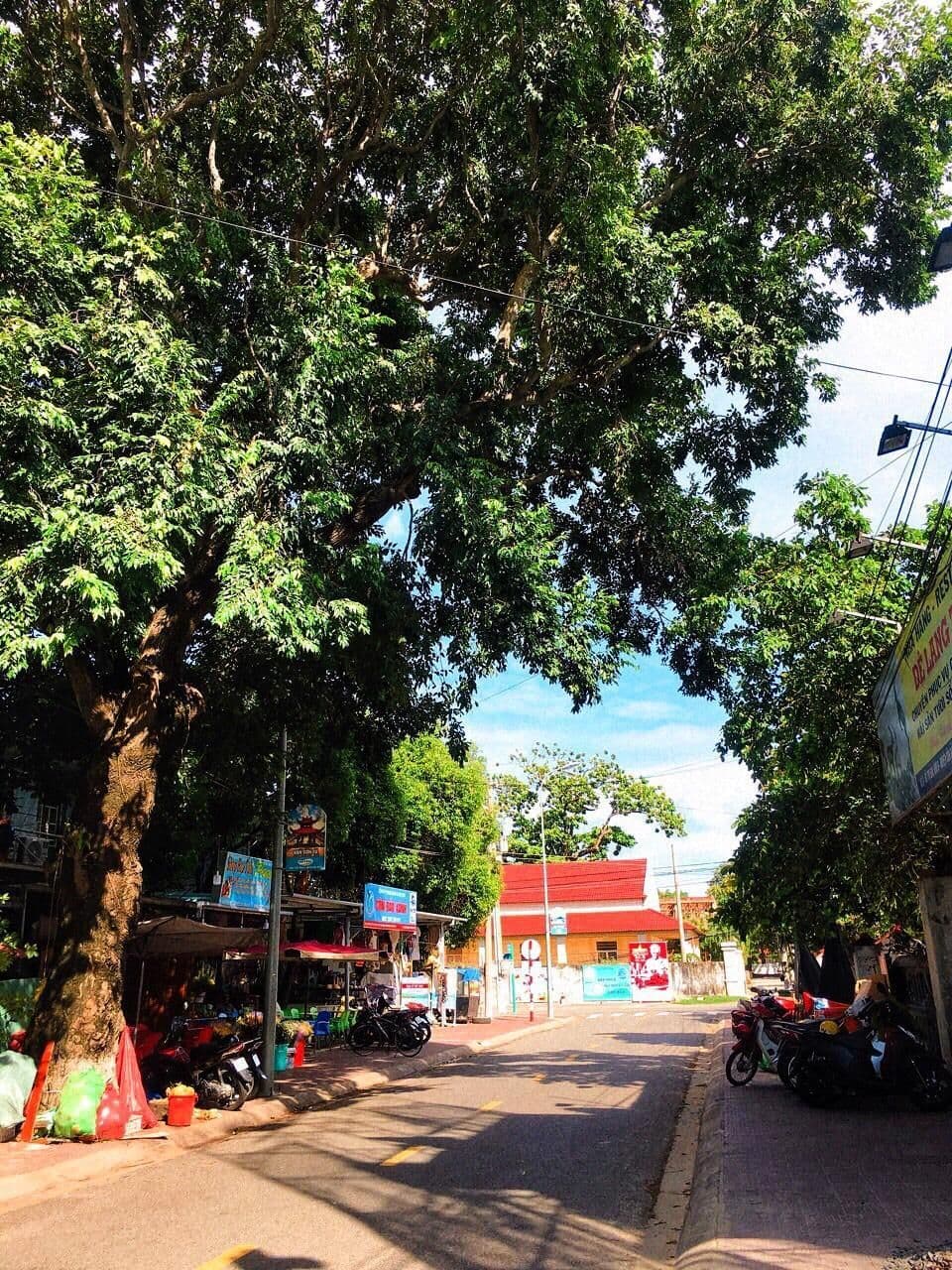 THAO LIEN HOTEL THAO LIEN HOTEL
