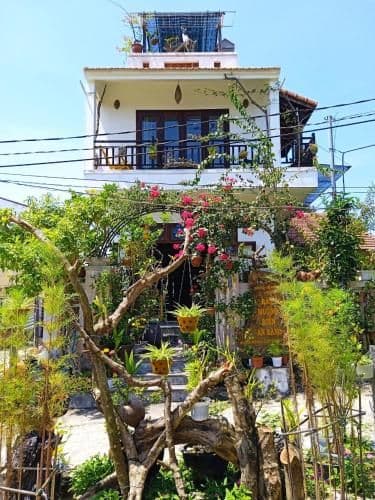 AnBang Morning Glory Beach Homestay 호이안 안방비치 숙소호텔 AnBang Morning Glory Beach Homestay 호이안 안방비치 숙소호텔