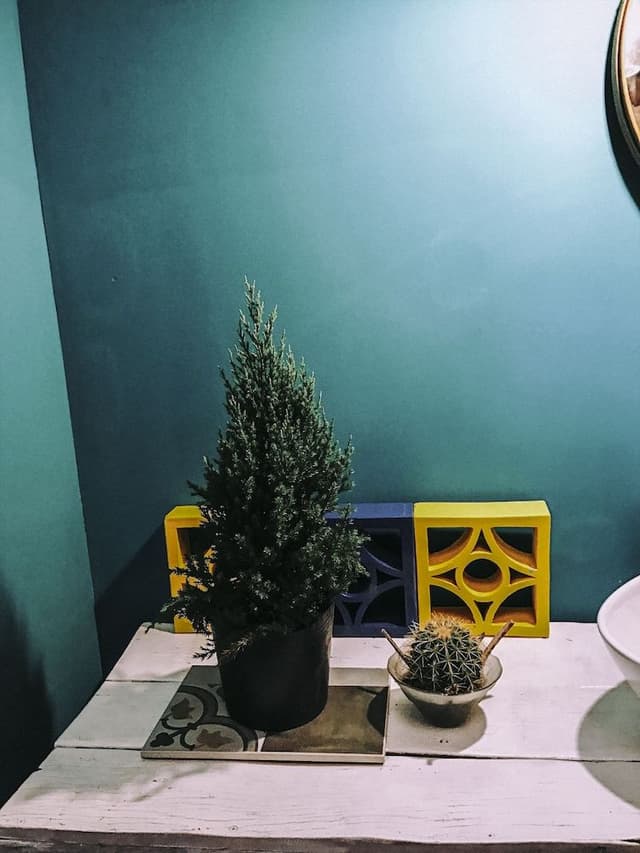 Triple Room, Private Bathroom
