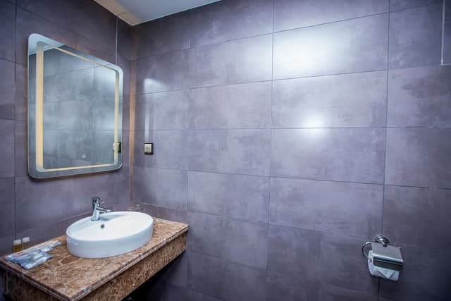 Deluxe Art Double or Twin Room