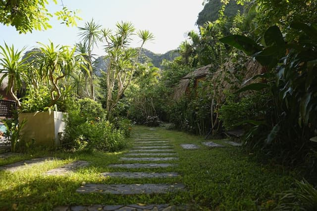 Deluxe Bungalow, 1 Queen Bed, Courtyard View