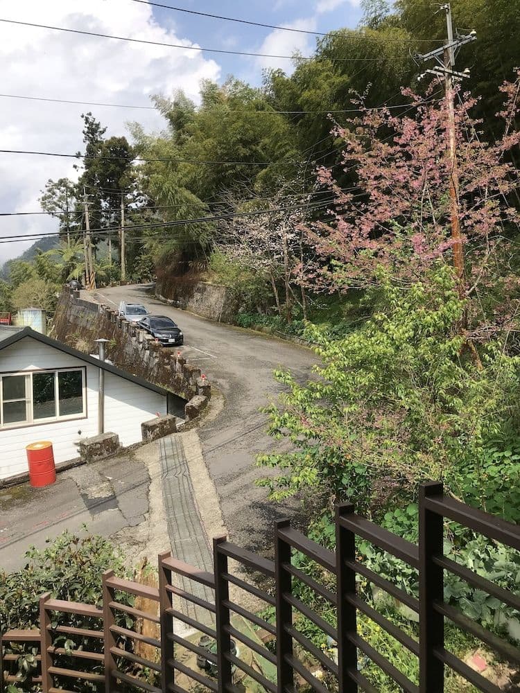 Zhu Yuan Homestay