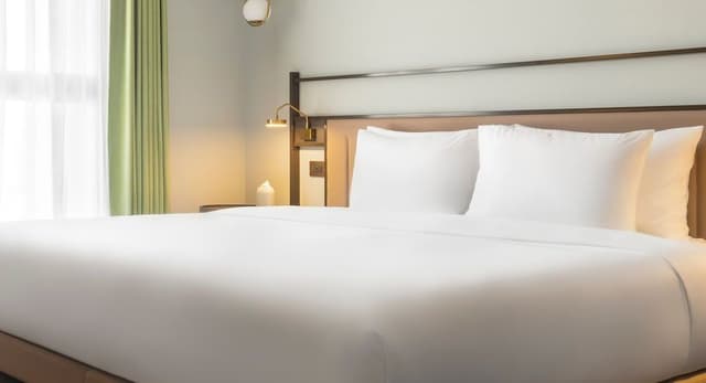 Deluxe Double Room, 1 King Bed, Non Smoking, Bathtub (No View)