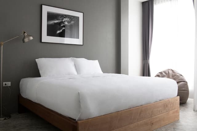 cozy standard