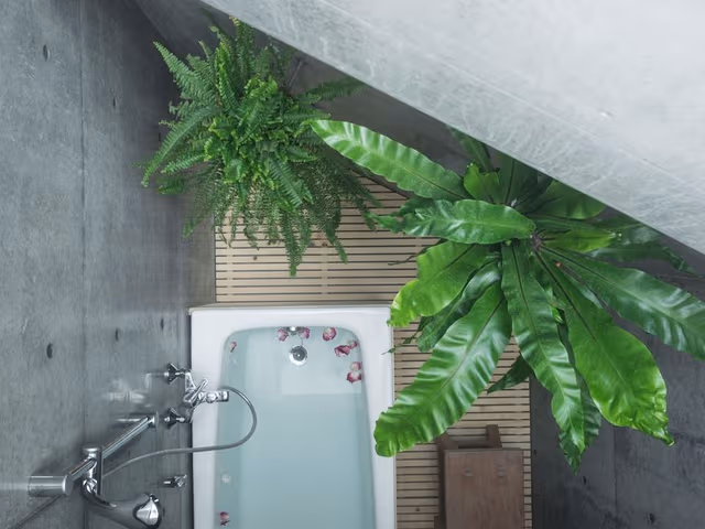 Signature Loft