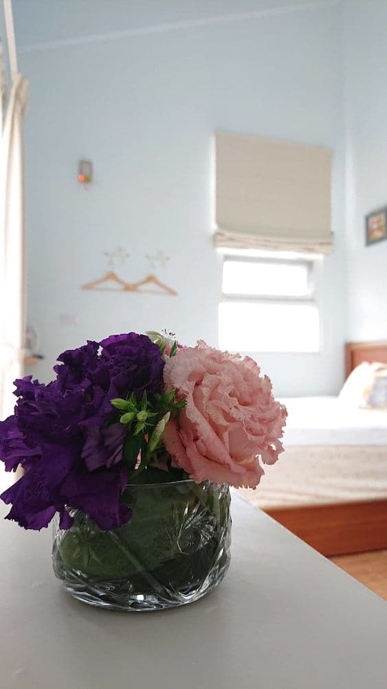 Double Room, Mountain View
