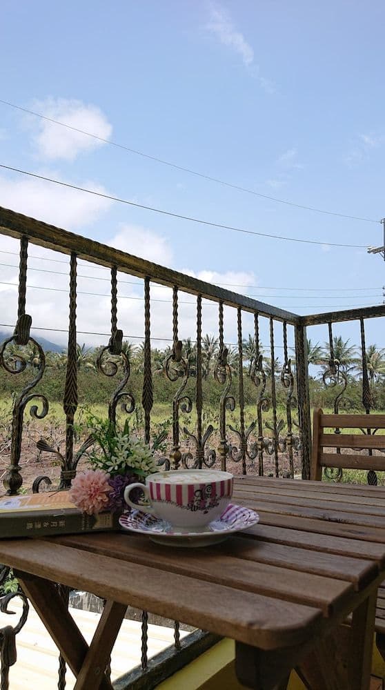 Double Room, Mountain View