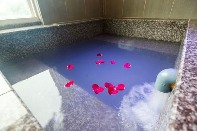 Standard Double Room (With hotspring)