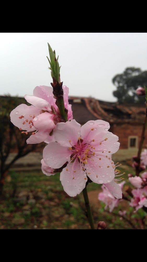 Mount Taiwu Cozy B&B Mount Taiwu Cozy B&B