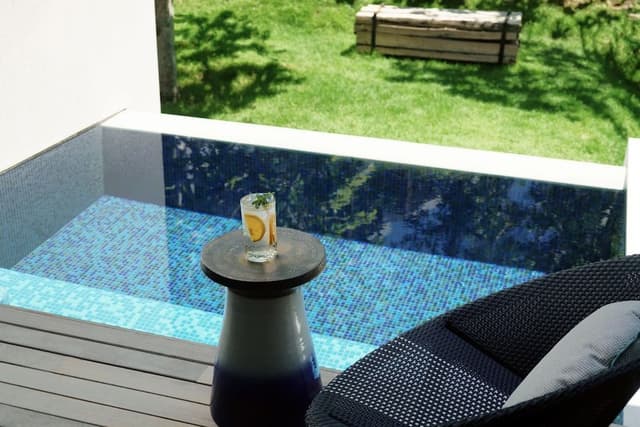Room, 1 King Bed (Plunge Pool)
