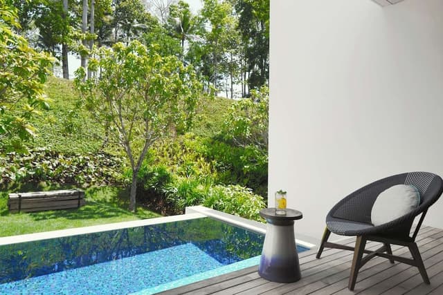 Room, 1 King Bed (Plunge Pool)
