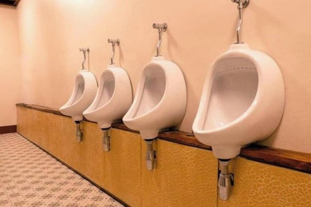 Basic Shared Dormitory, Mixed Dorm, Shared Bathroom