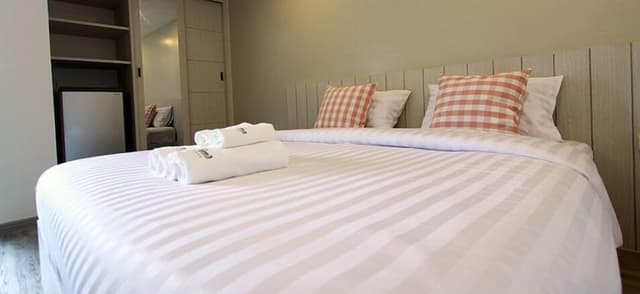 Basic Double Room
