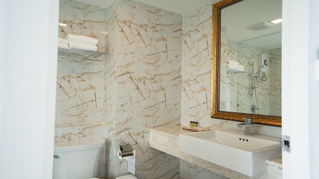 Luxury Premier Room