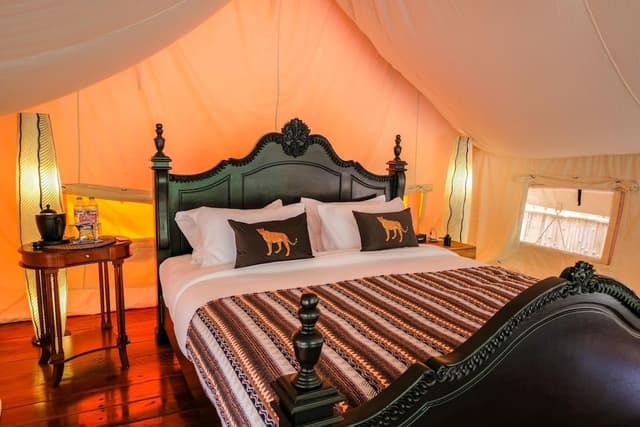 Premium Tent