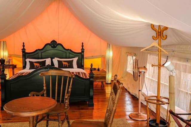 Premium Tent