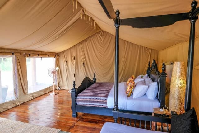 Premium Tent