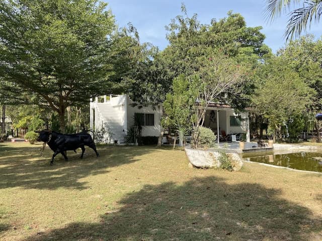 House, 2 Bedrooms, Hill View, Mezzanine