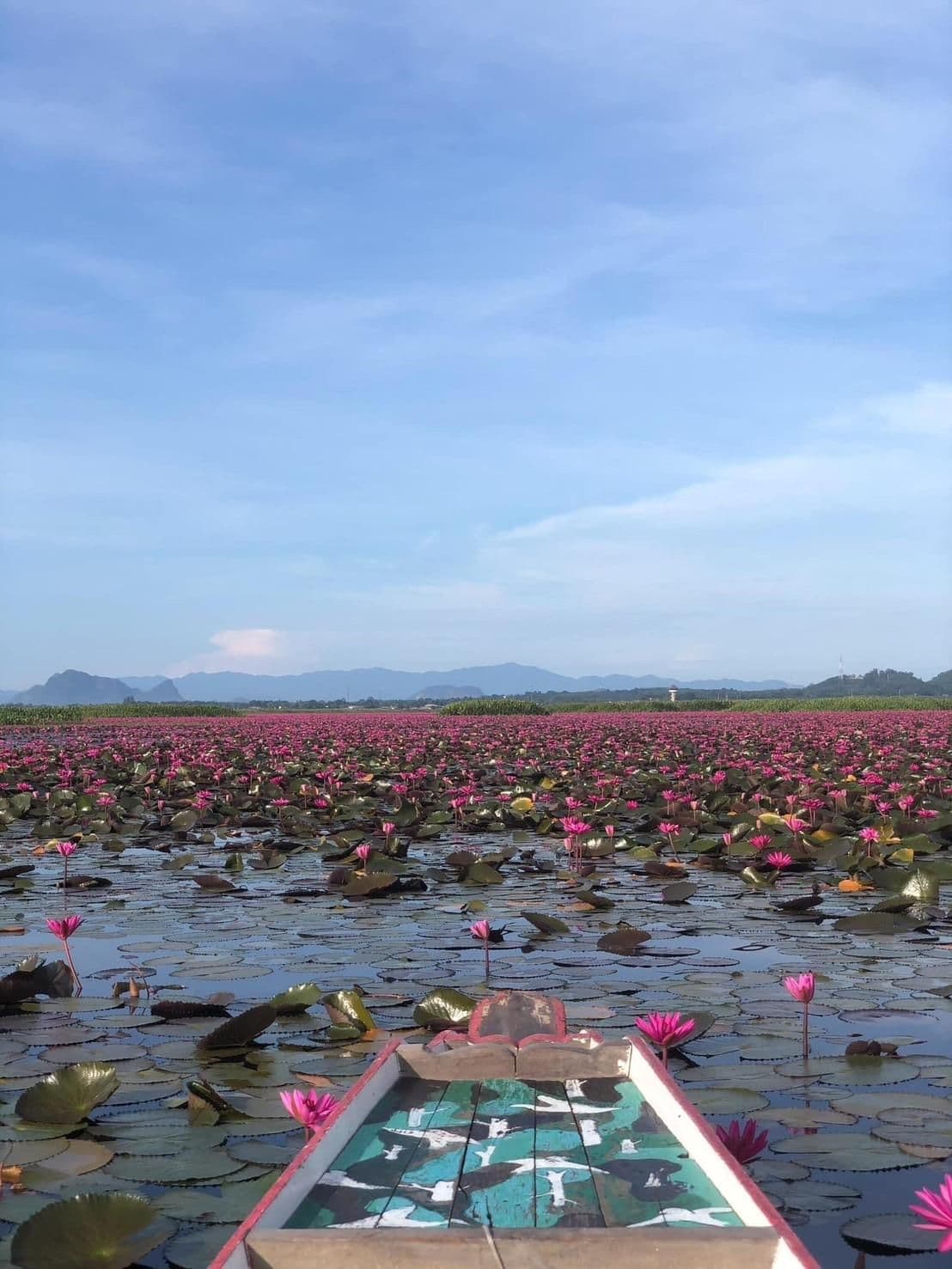 เลน้อยบุรี เลน้อยบุรี