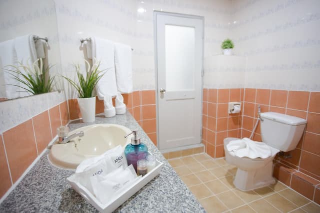 Deluxe King Or Twin Room