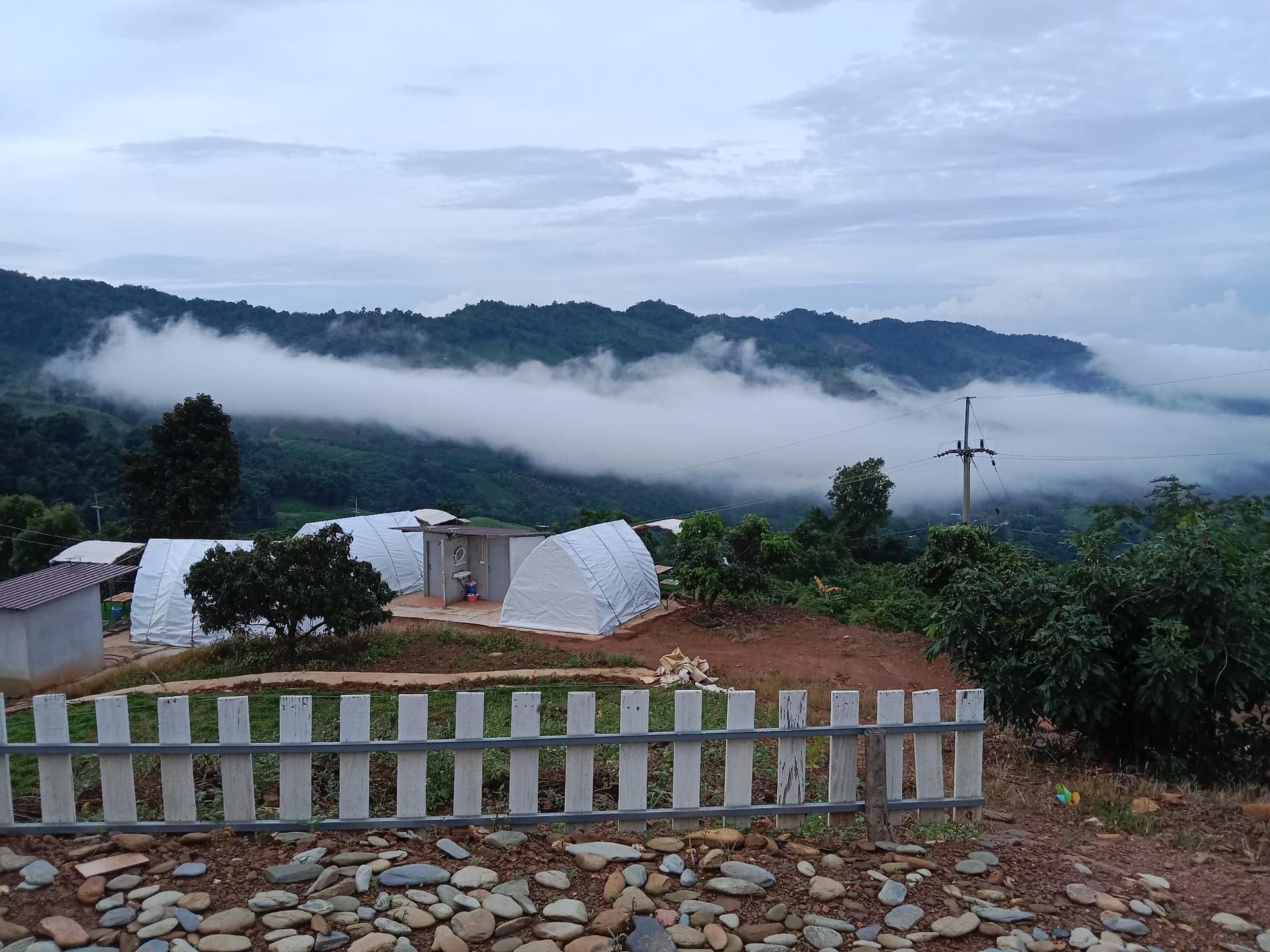 Inphulanga