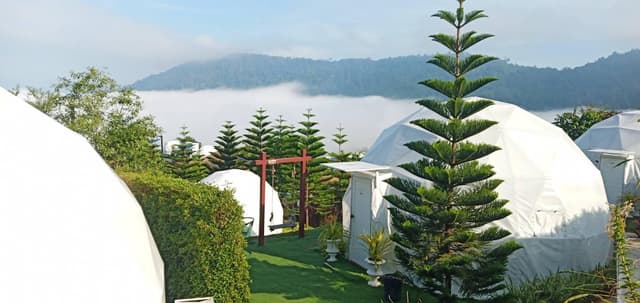 Deluxe Dome View Room