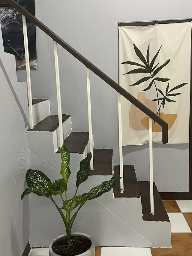 Basic Double Room