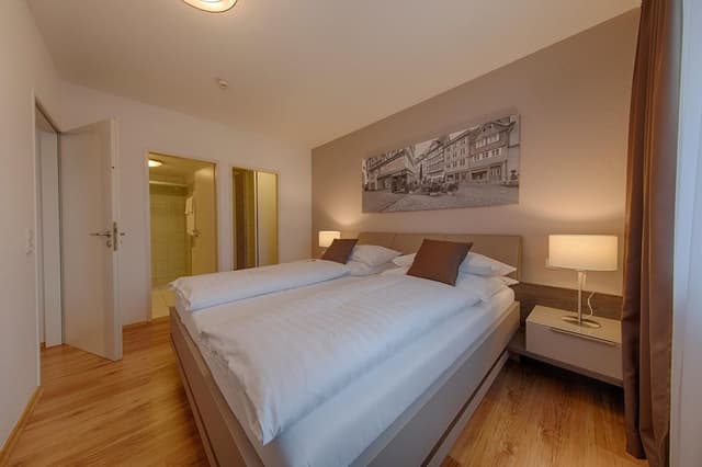 Executive Apartment, 1 Double Bed, Kitchen, River View (Living Room;with Sofabed)
