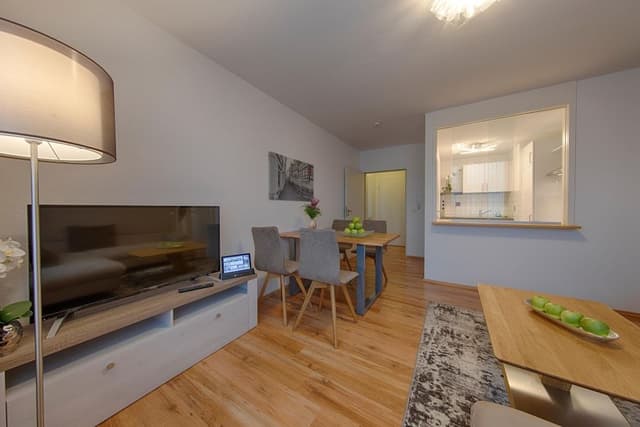 Executive Apartment, 1 Double Bed, Kitchen, River View (Living Room;with Sofabed)