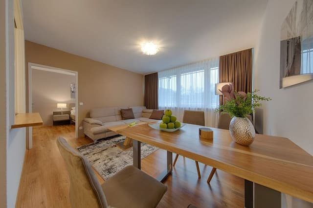 Executive Apartment, 1 Double Bed, Kitchen, River View (Living Room;with Sofabed)