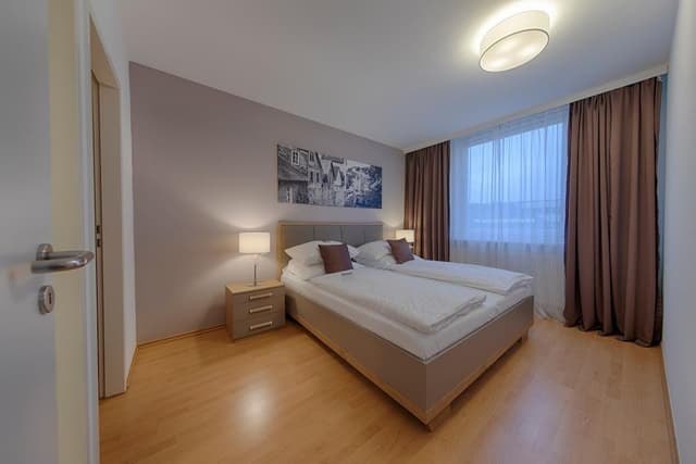 Comfort Apartment, 1 Double Bed, Kitchen (Living Room;with Sofabed)