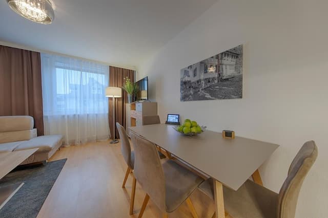 Comfort Apartment, 1 Double Bed, Kitchen (Living Room;with Sofabed)