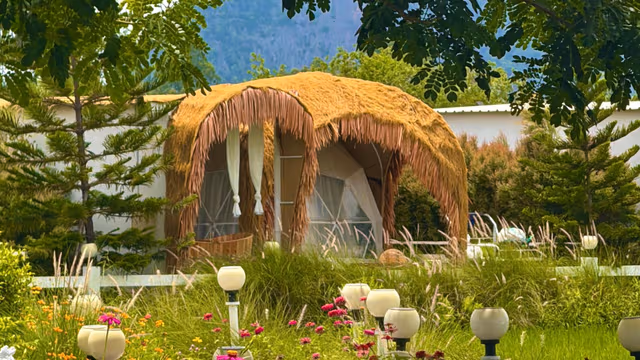 Garden View Dome Tent