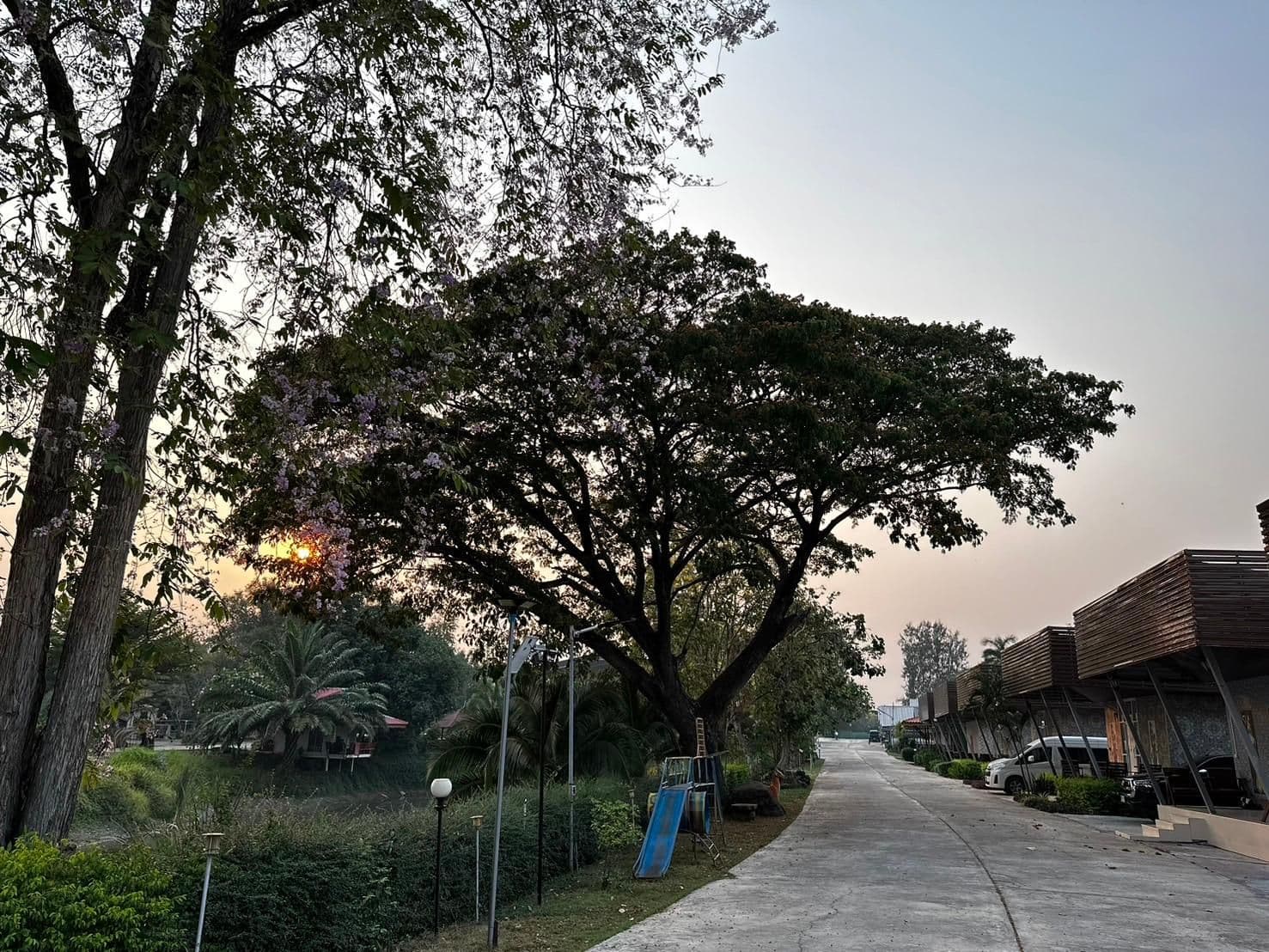 เอ็มเจ รีสอร์ท หนองไผ่
