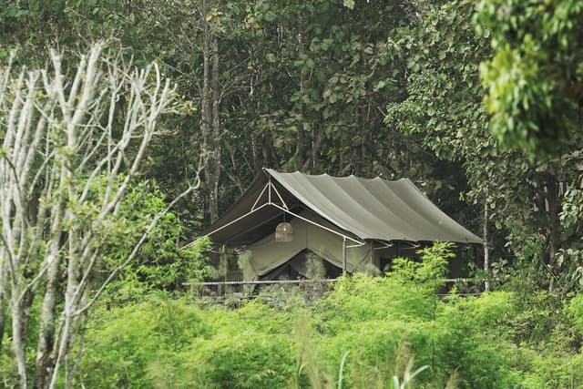 Tent, 1 King Bed, Canal View