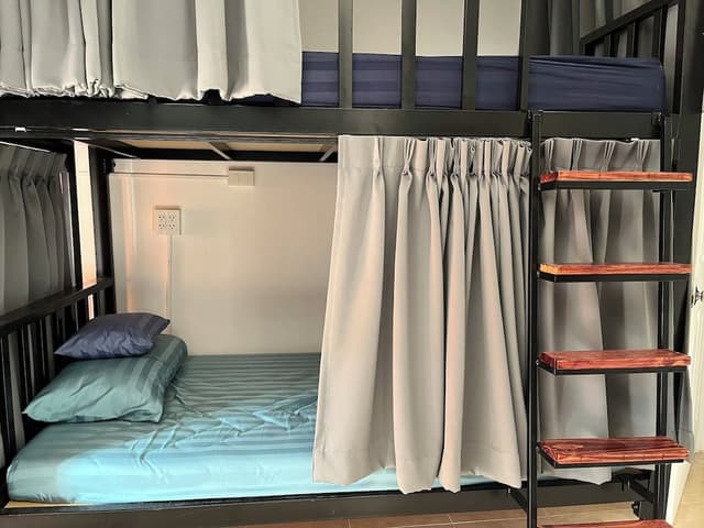 Classic Shared Dormitory