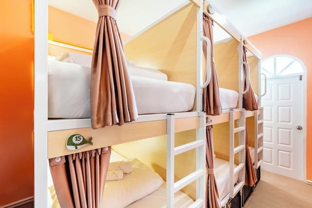 Standard Shared Dormitory, City View