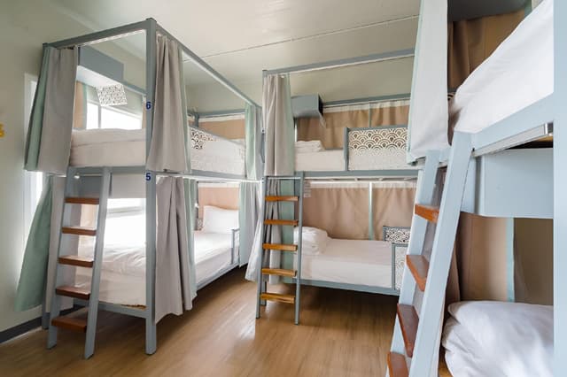 6-Bed Mixed Dormitory Room