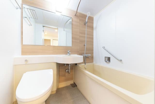 [Ocean View] Japanese-Western style Room (With private bathroom) (Non-smoking)