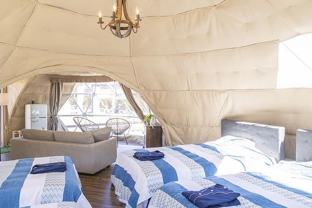 Twin dome
