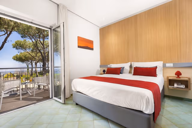 Deluxe Double or Twin Room