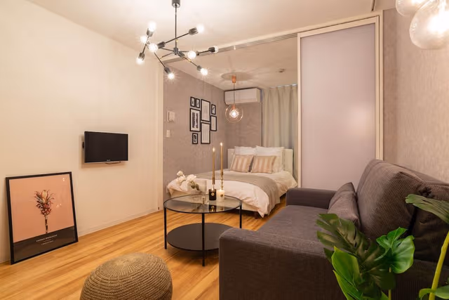 Deluxe Apartment