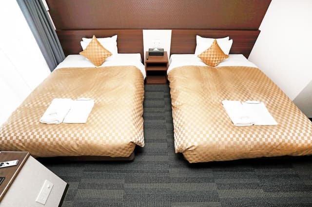 Deluxe Twin Room, Non Smoking