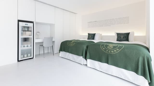 Deluxe Twin Room, Non Smoking (4F-10F)