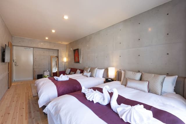 Elite Apartment, Non Smoking (Futon provided for 5-6th person)