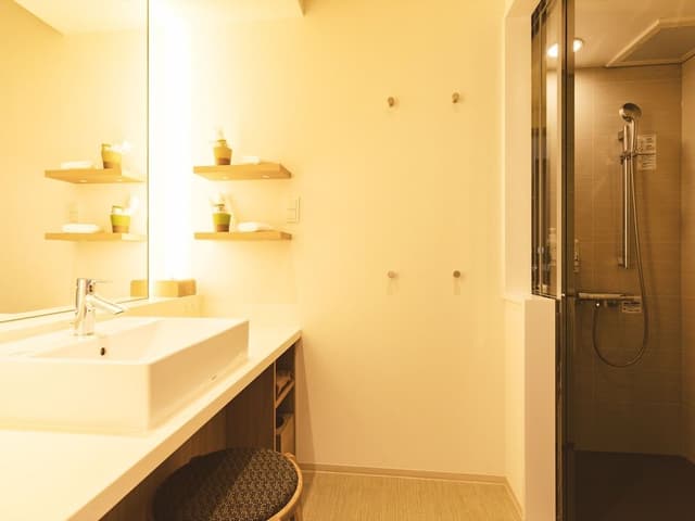 Deluxe Japanese Western-style Room, Non Smoking, Shower only