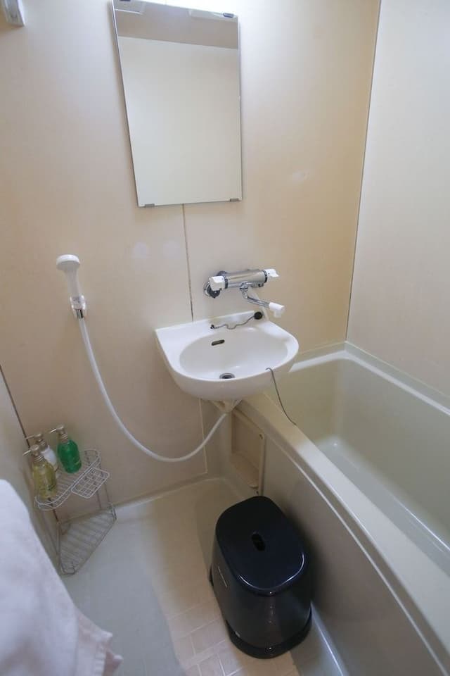 Twin Double Room (Bath/Toilet Separated)